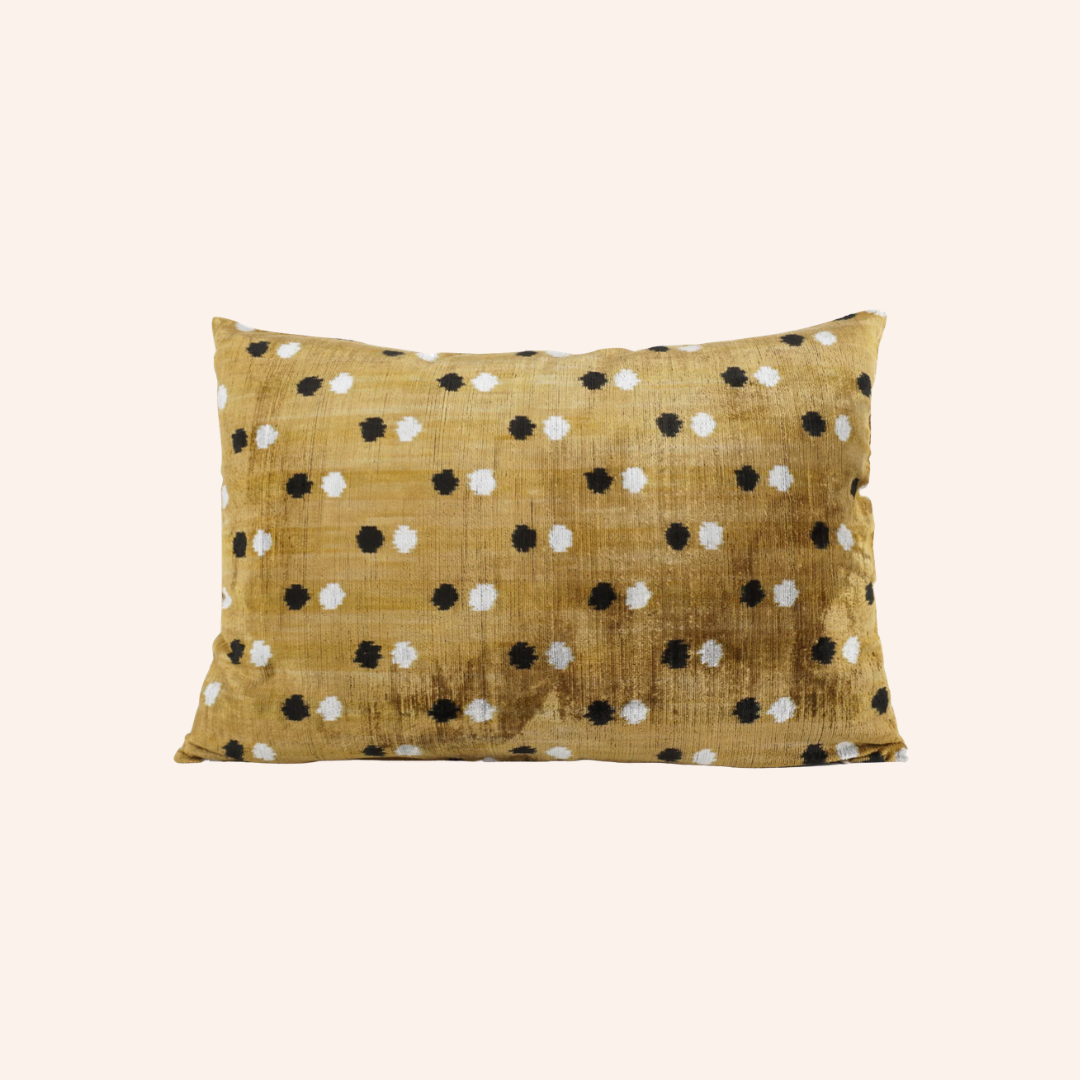 Silk Velvet Patti Cushion