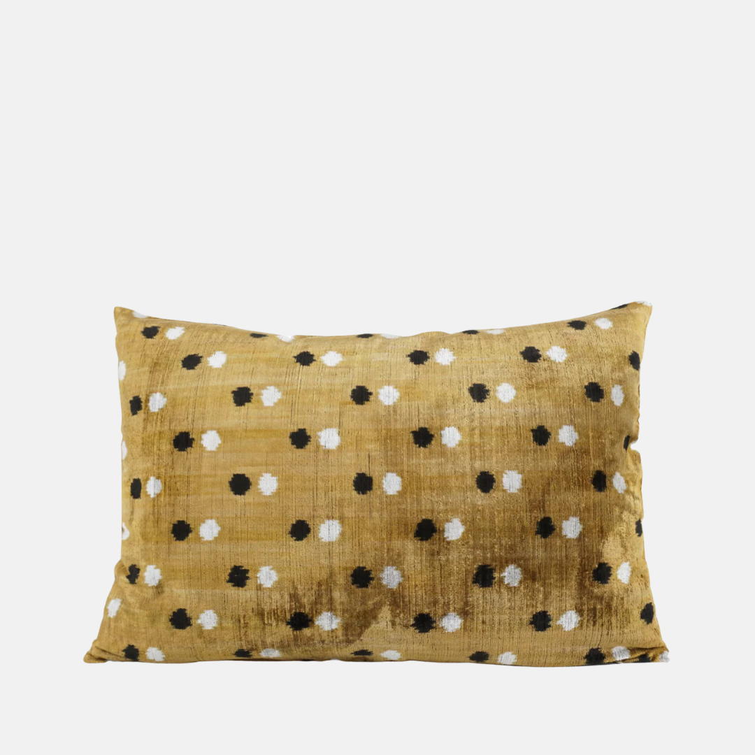 Silk Velvet Patti Cushion