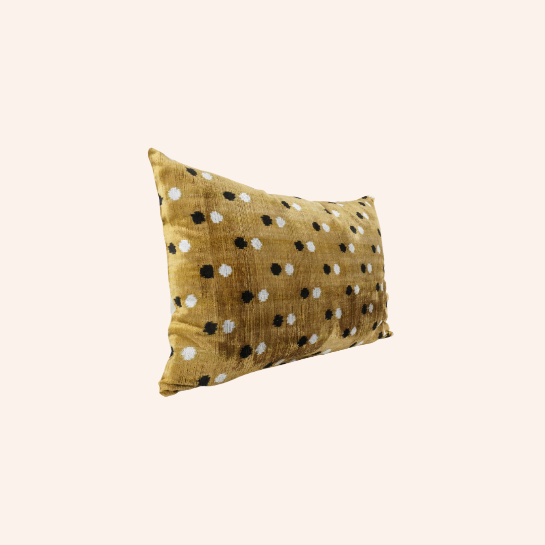 Silk Velvet Patti Cushion