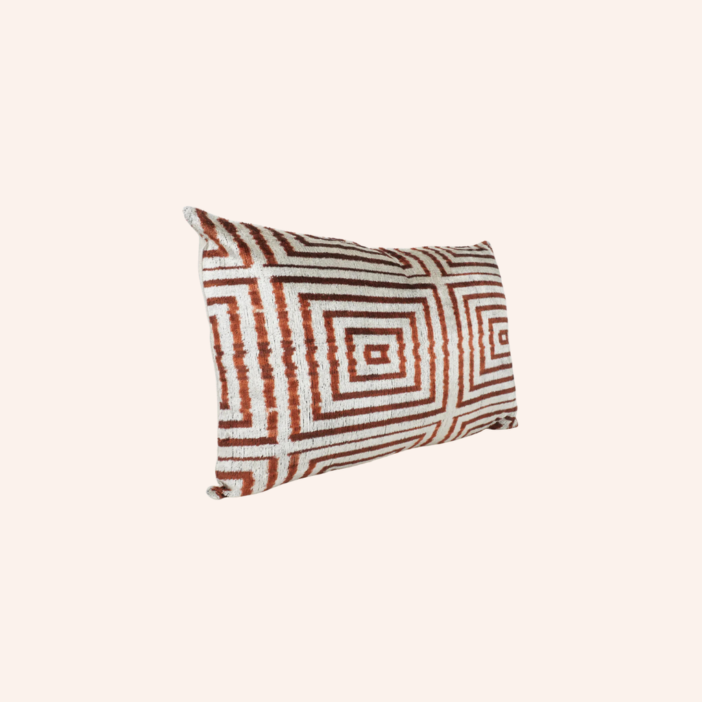 Silk Velvet Mavin Cushion