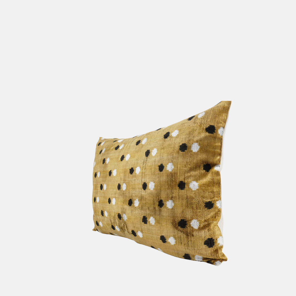 Silk Velvet Patti Cushion