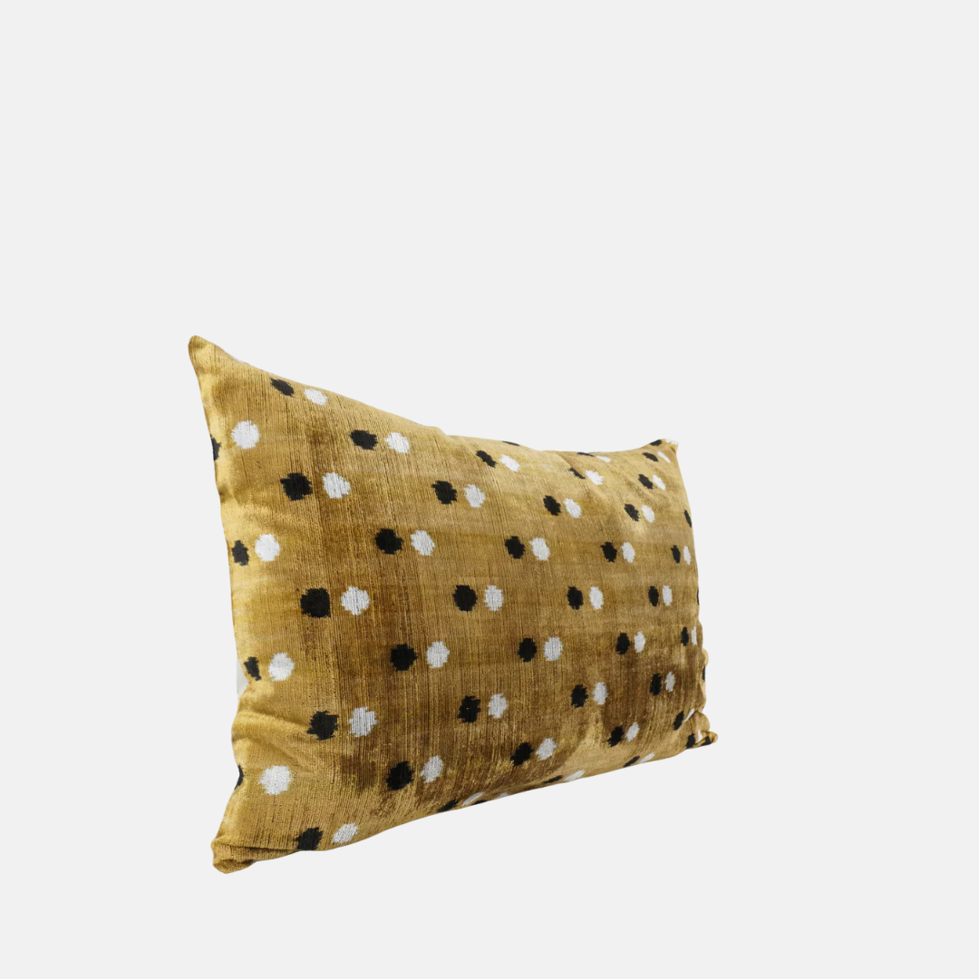 Silk Velvet Patti Cushion