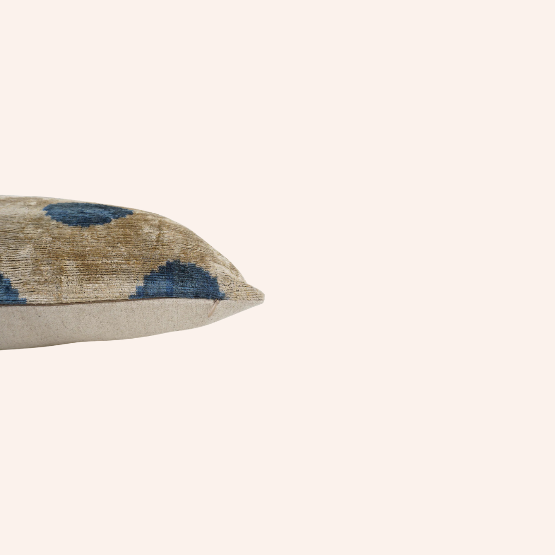 Silk Velvet Clive Cushion