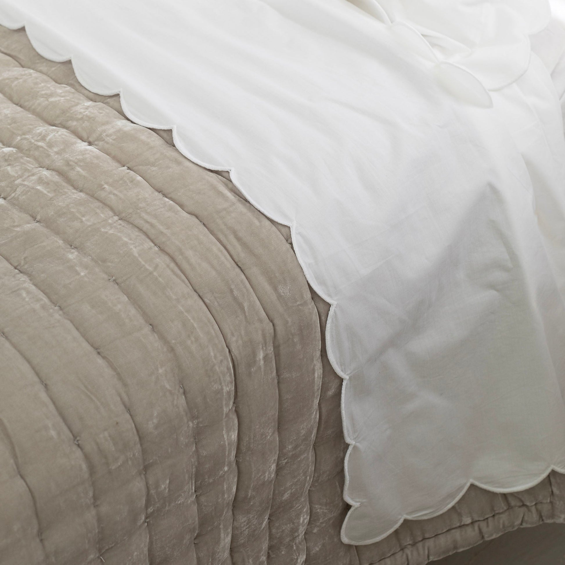 Scalloped Edge Cotton Flat Sheet in White - 450 Thread Count
