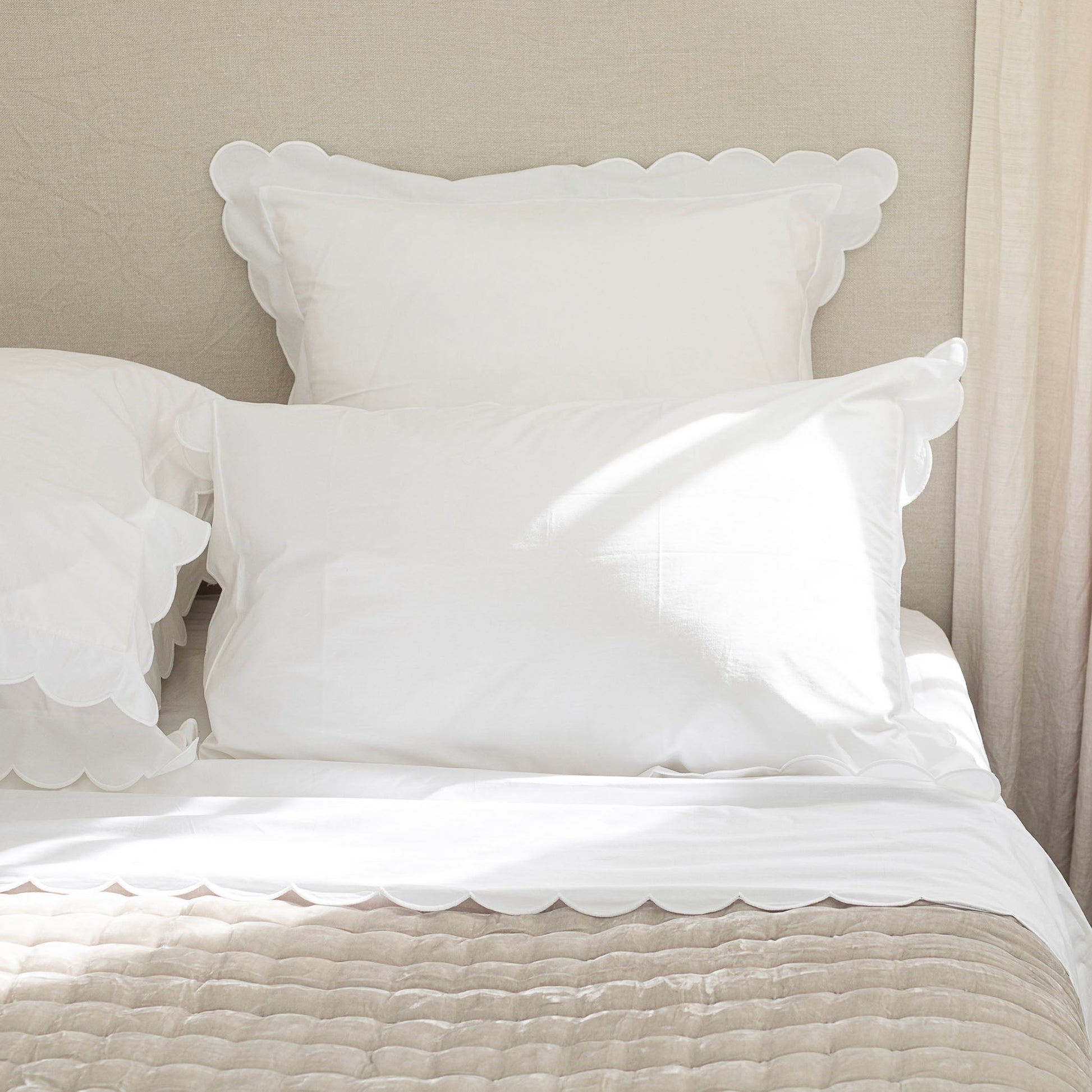 Scalloped Edge Cotton Flat Sheet in White - 450 Thread Count
