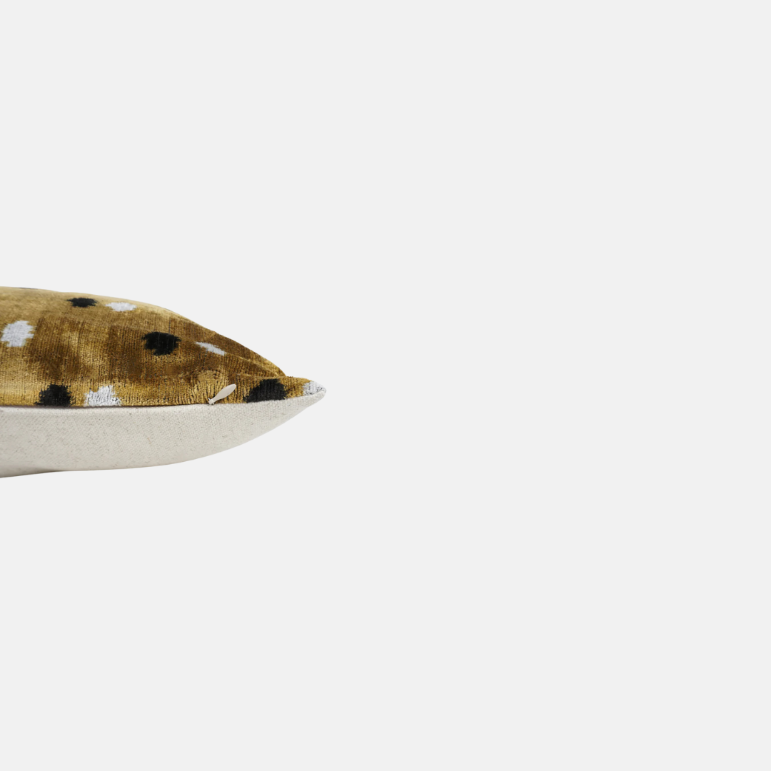 Silk Velvet Patti Cushion