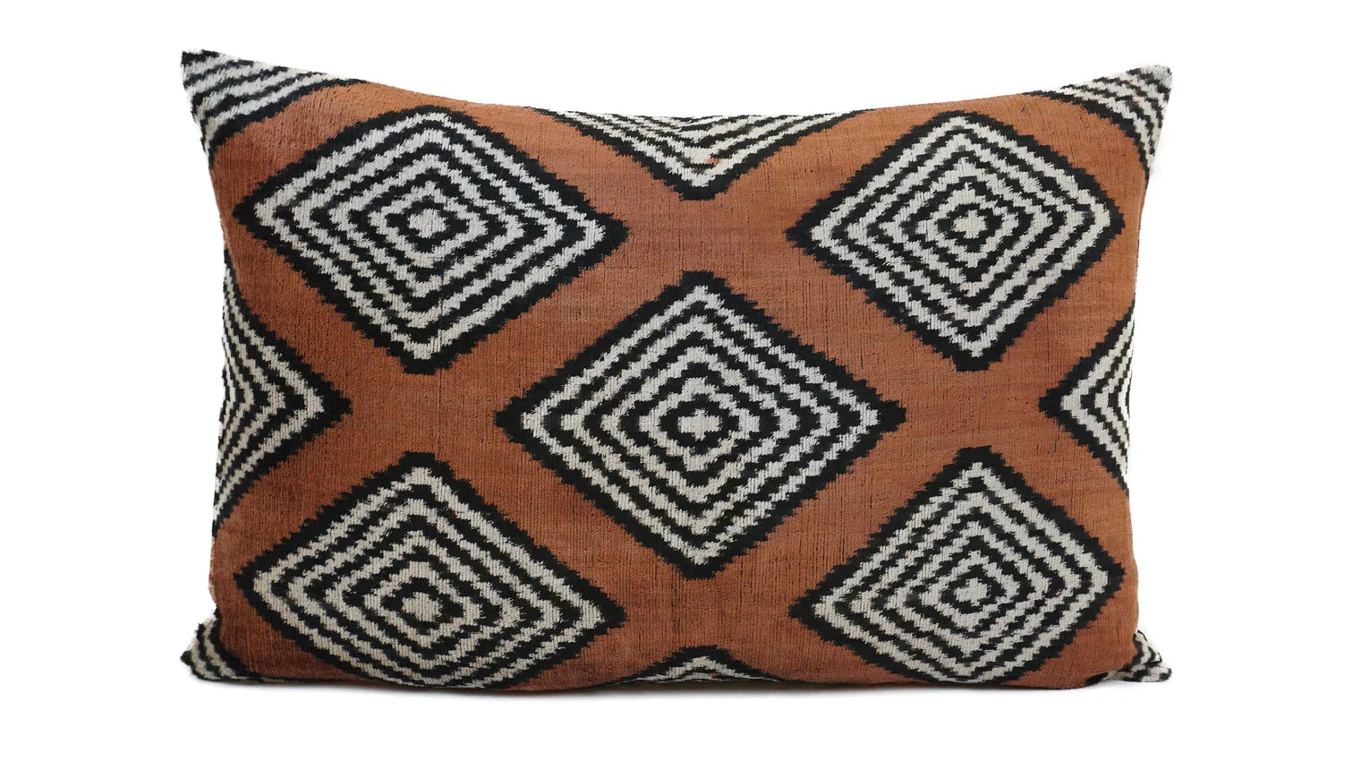 Silk Velvet Carly Cushion