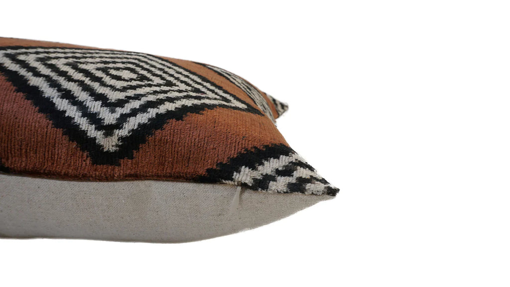 Silk Velvet Carly Cushion