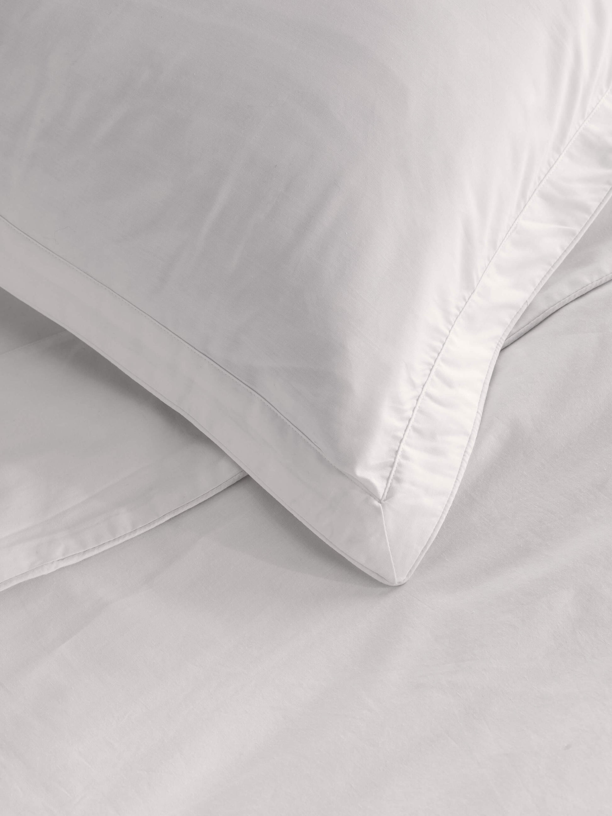 Studio Pure Cotton Pillowcases