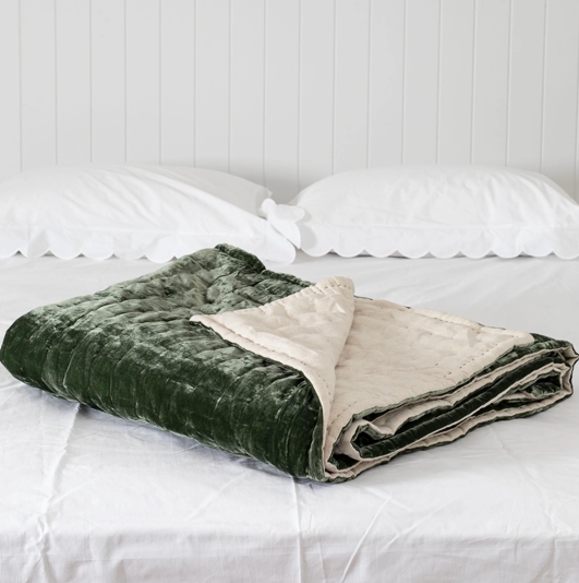 Tempt Silk Velvet Throw - Beetle