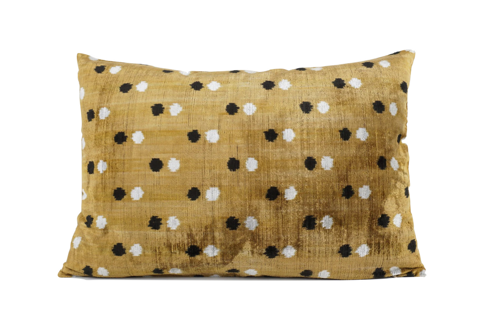 Silk Velvet Patti Cushion