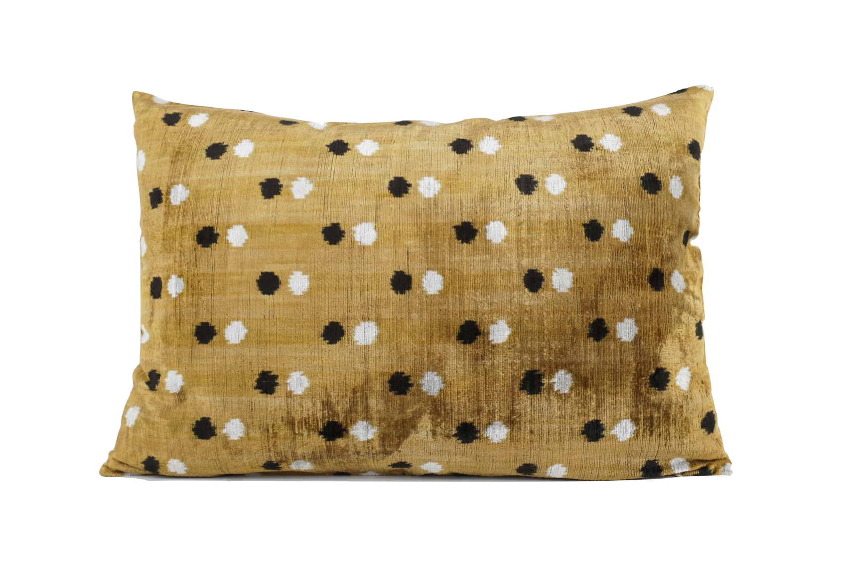 Silk Velvet Patti Cushion