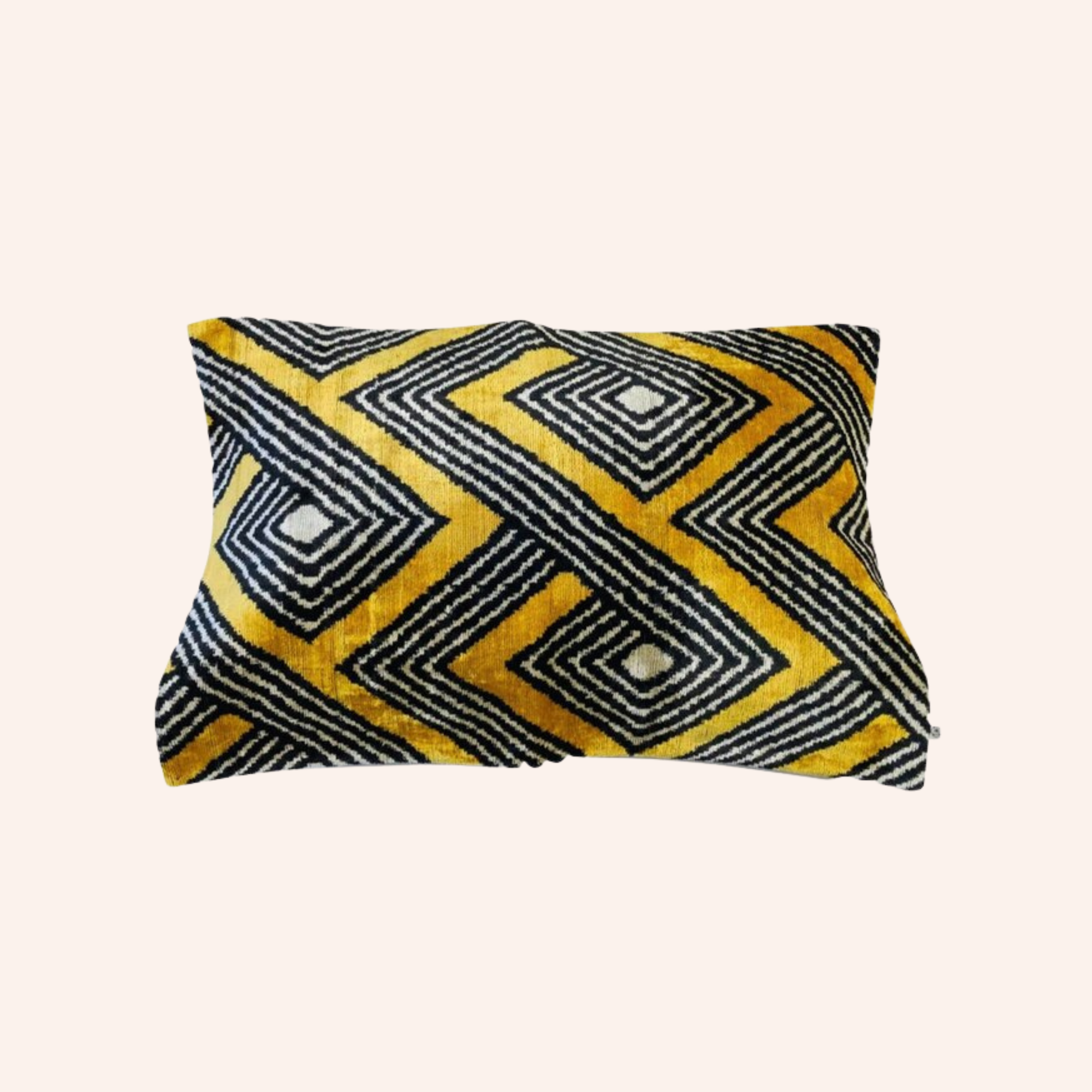 Silk Velvet Matthew Cushion