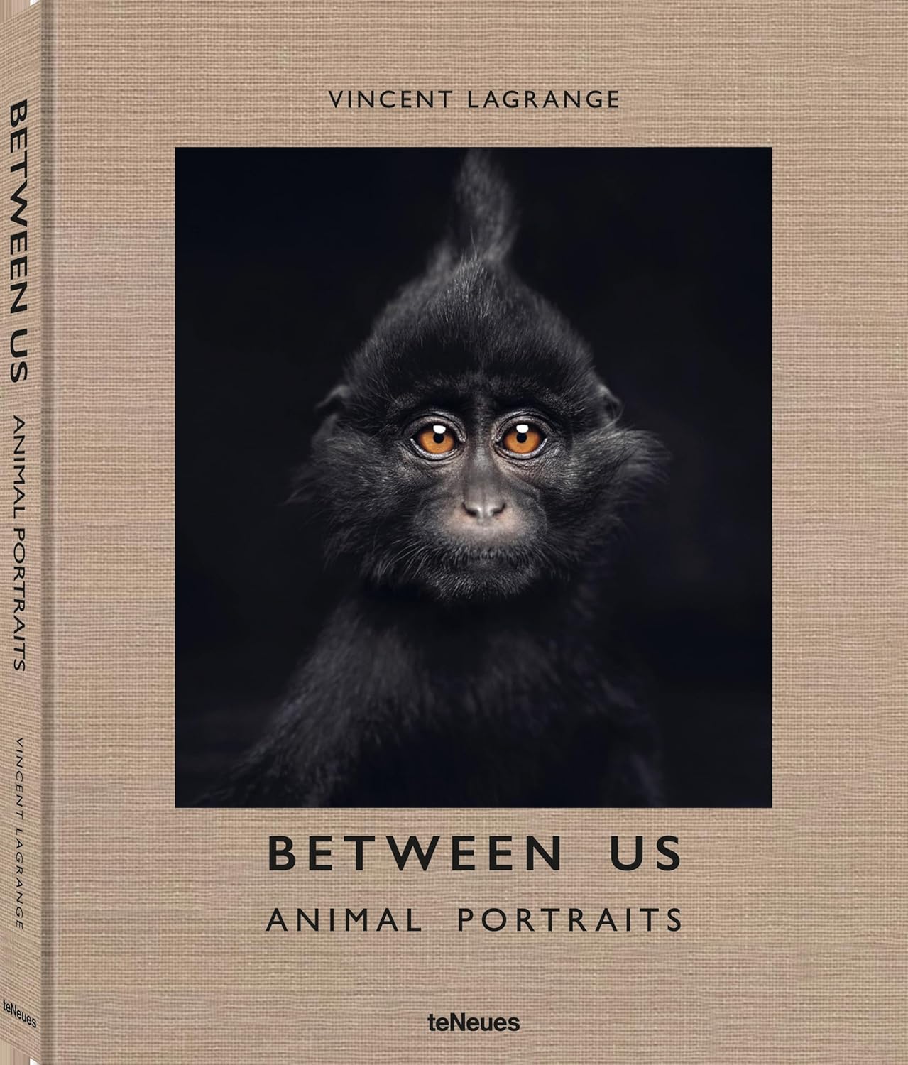 Between Us: Animal Portraits by Vincent Lagrange