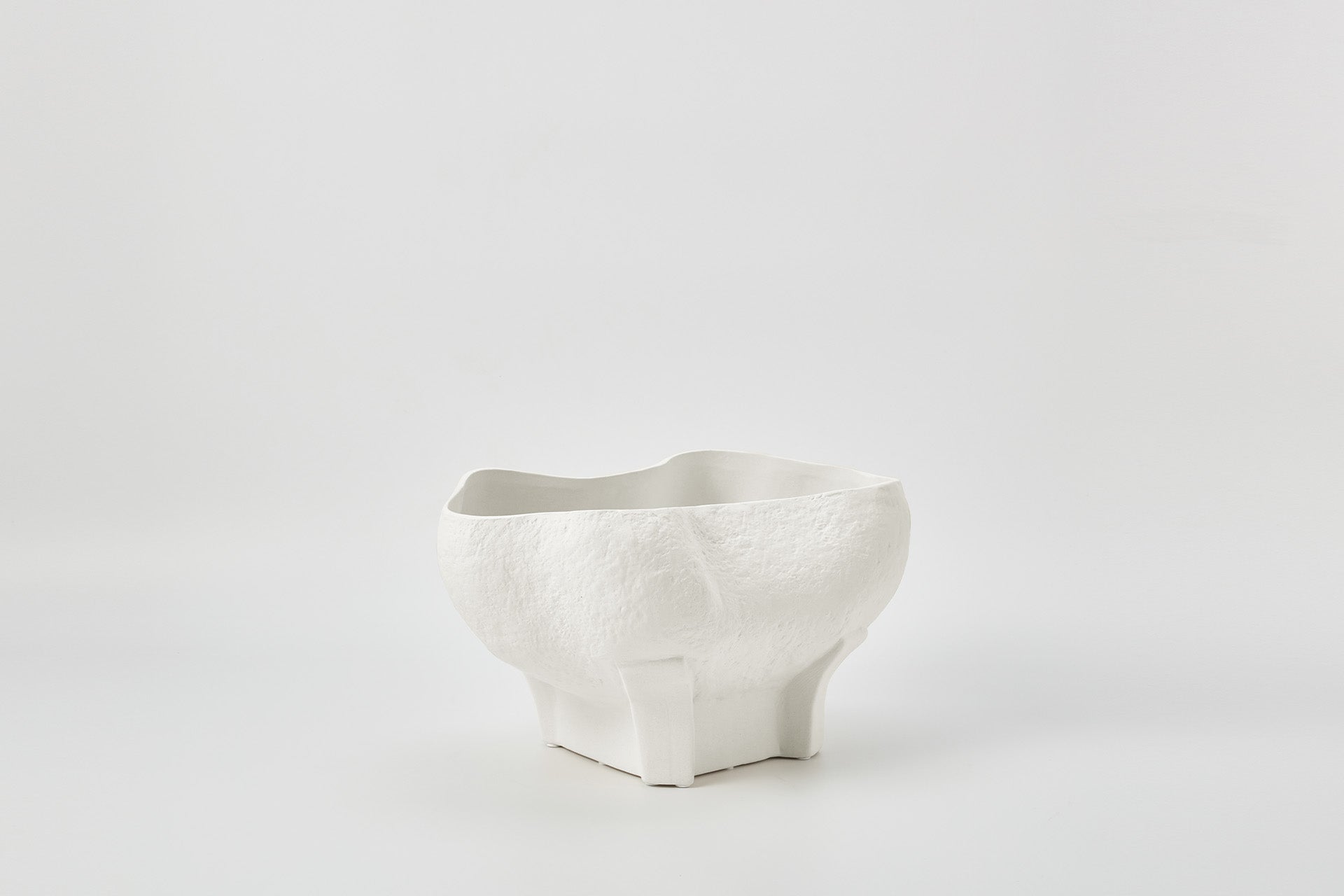 Conch Bowl in Ivory