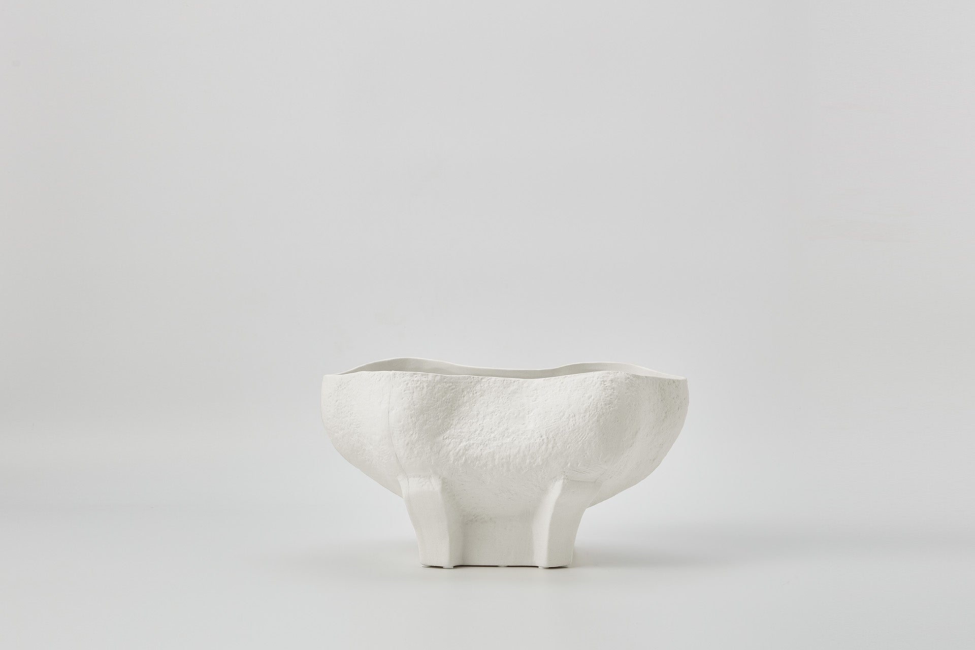 Conch Bowl in Ivory