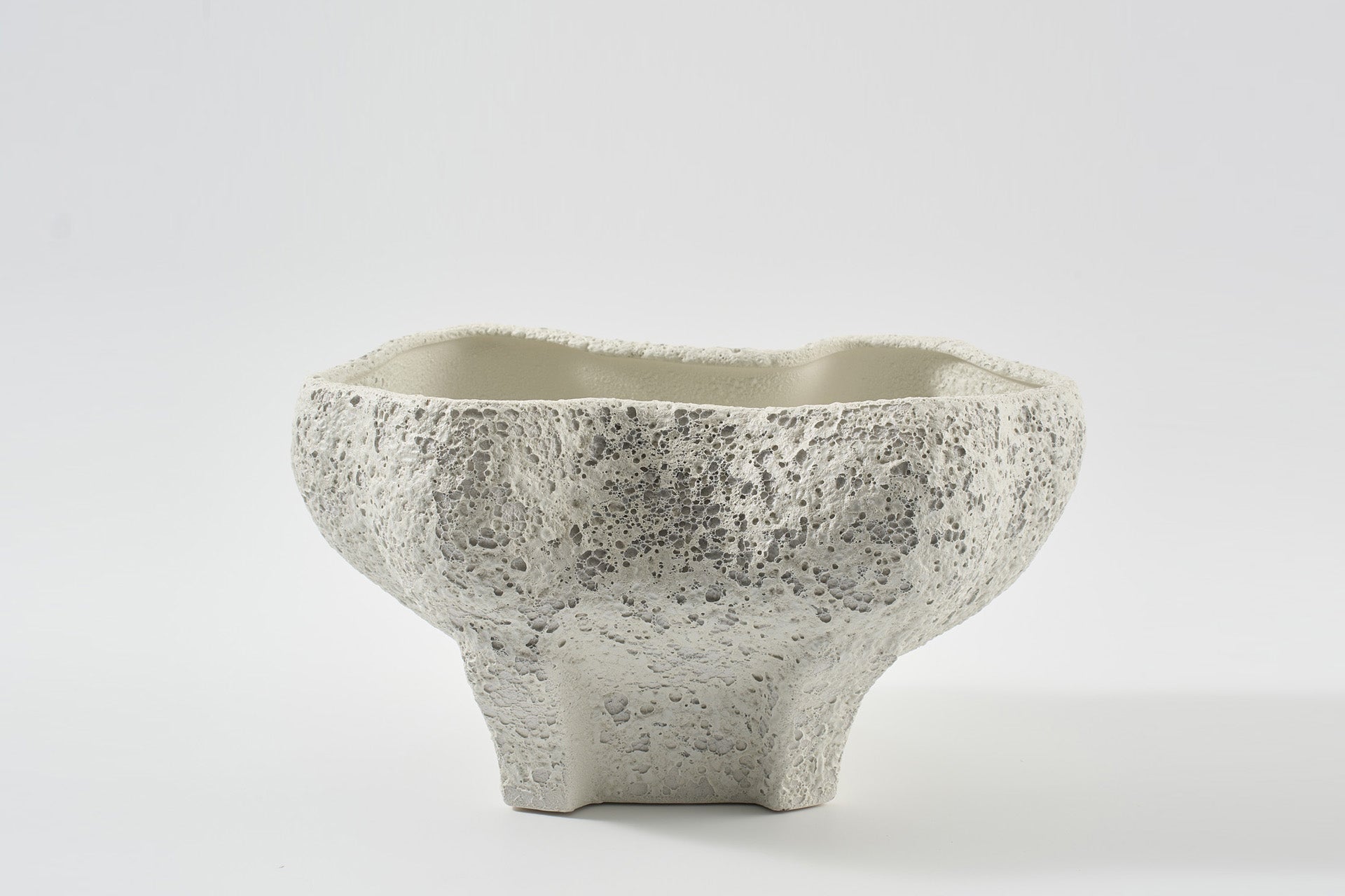 Conch Bowl in Salt Crust