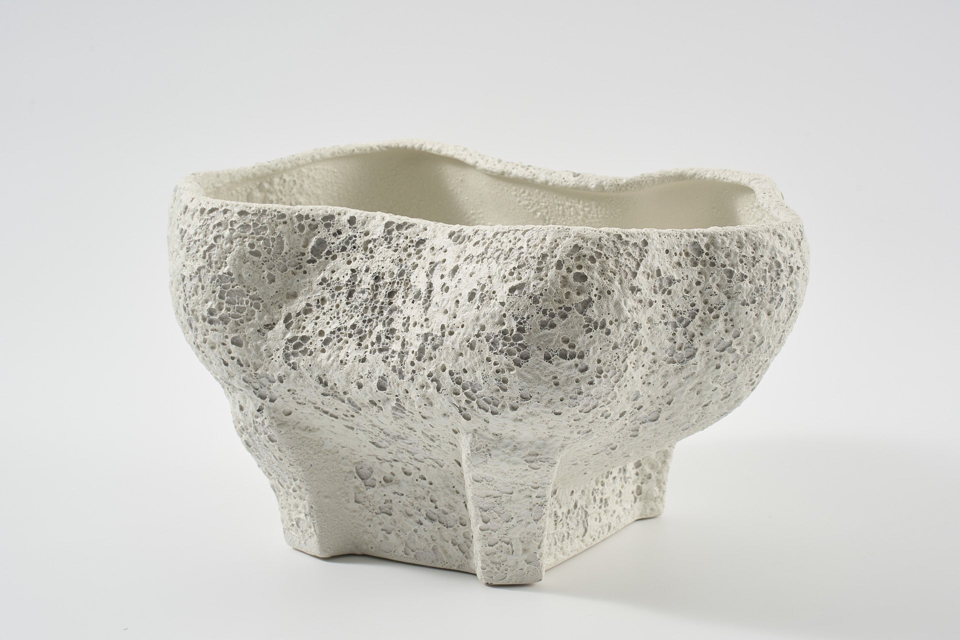 Conch Bowl in Salt Crust