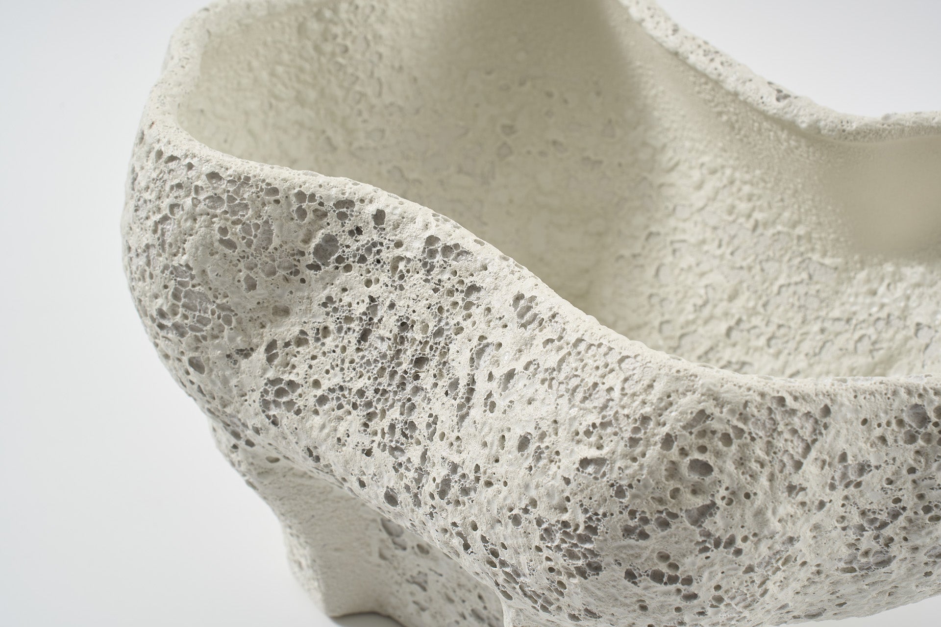 Conch Bowl in Salt Crust