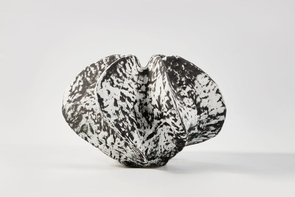 Lobatus Vase Canus