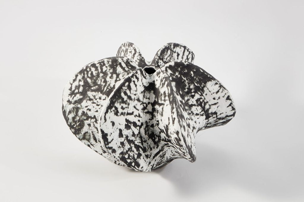 Lobatus Vase Canus