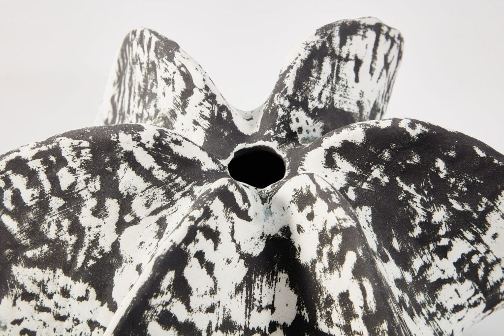 Lobatus Vase Canus