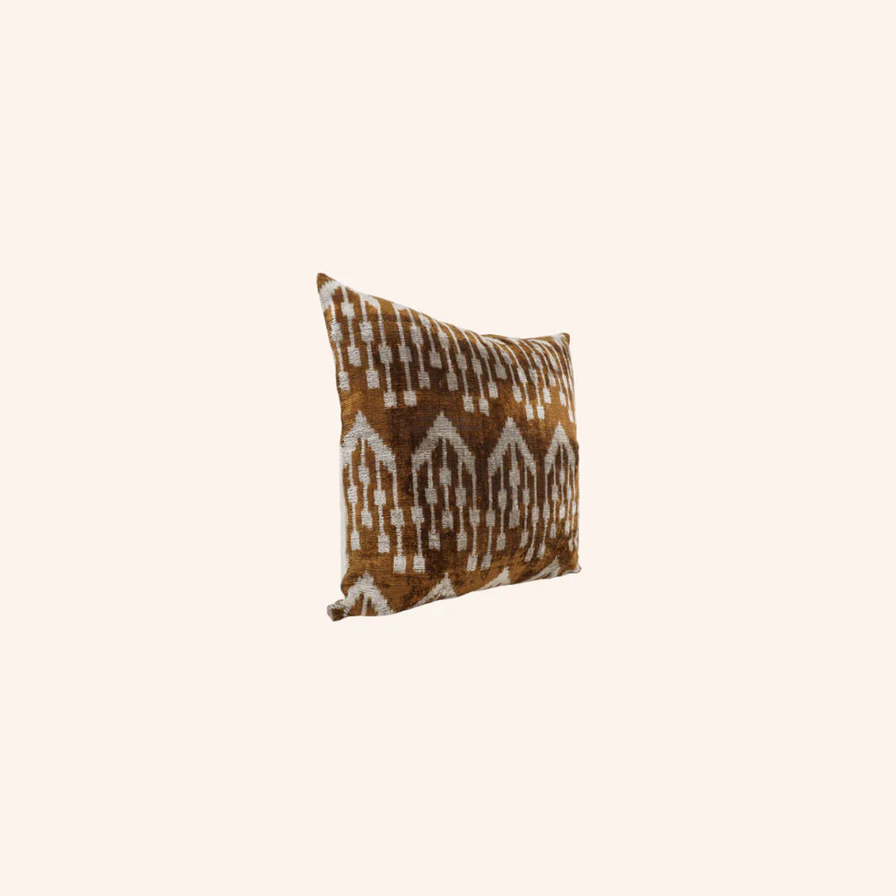 Silk Velvet Cathy Cushion