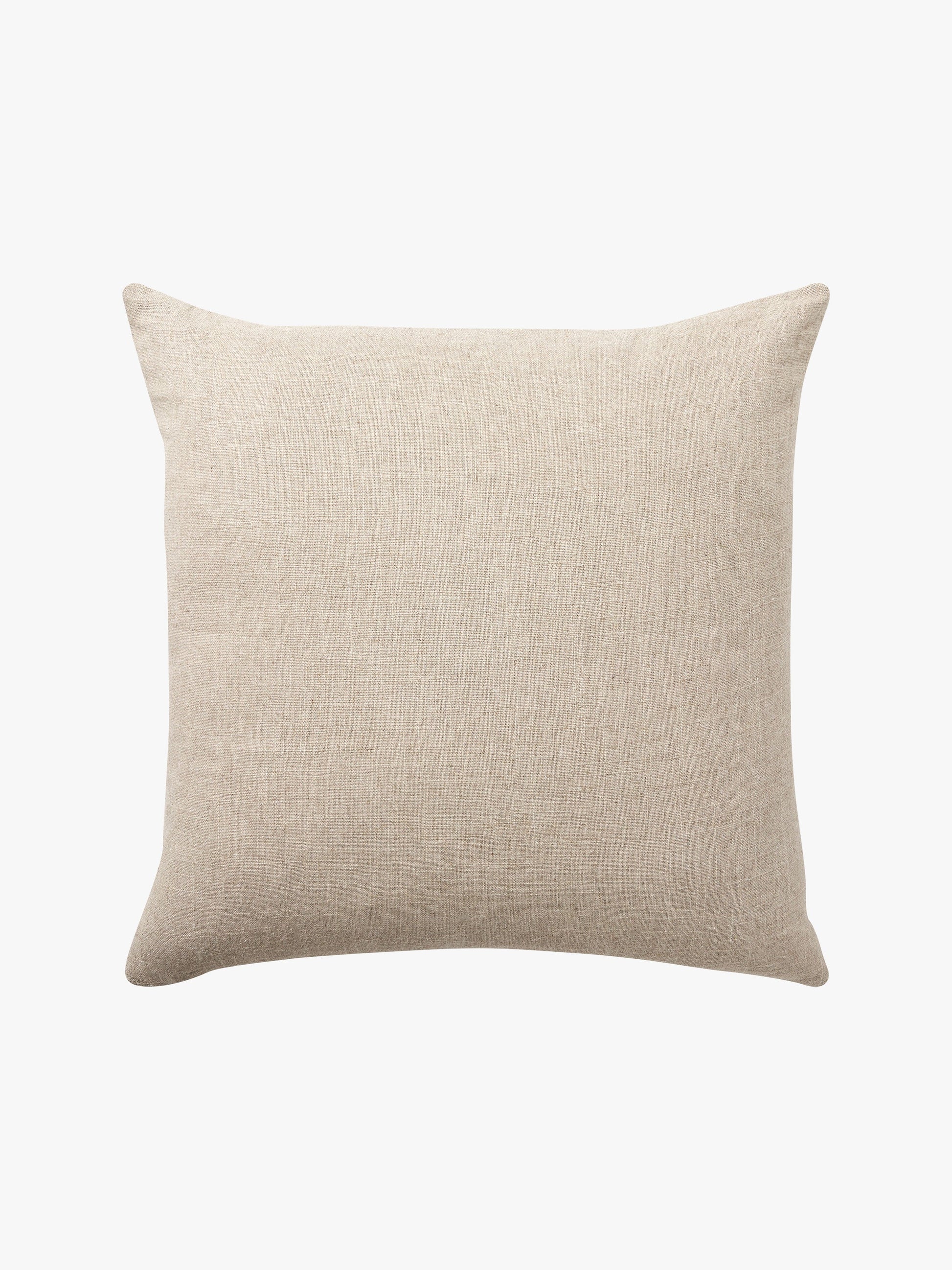 Etro Eucalypt Velvet Cushion