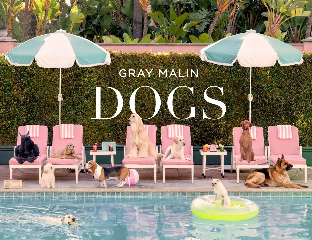 Gray Malin: Dogs By Gray Malin
