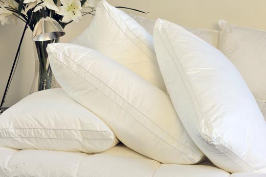 Hotel Pillows